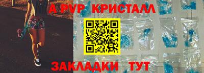 шишки Камышлов