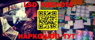 шишки Камышлов